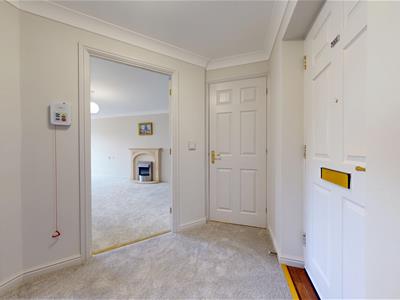 Picture 8